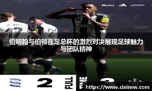 万博max体育官网入口